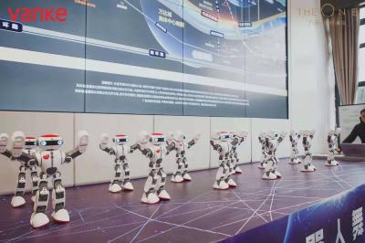 杭州，機器人VR無人機租賃表演，機器人跳舞，機器人迎賓，機器人主持，機器人互動，機器人競技